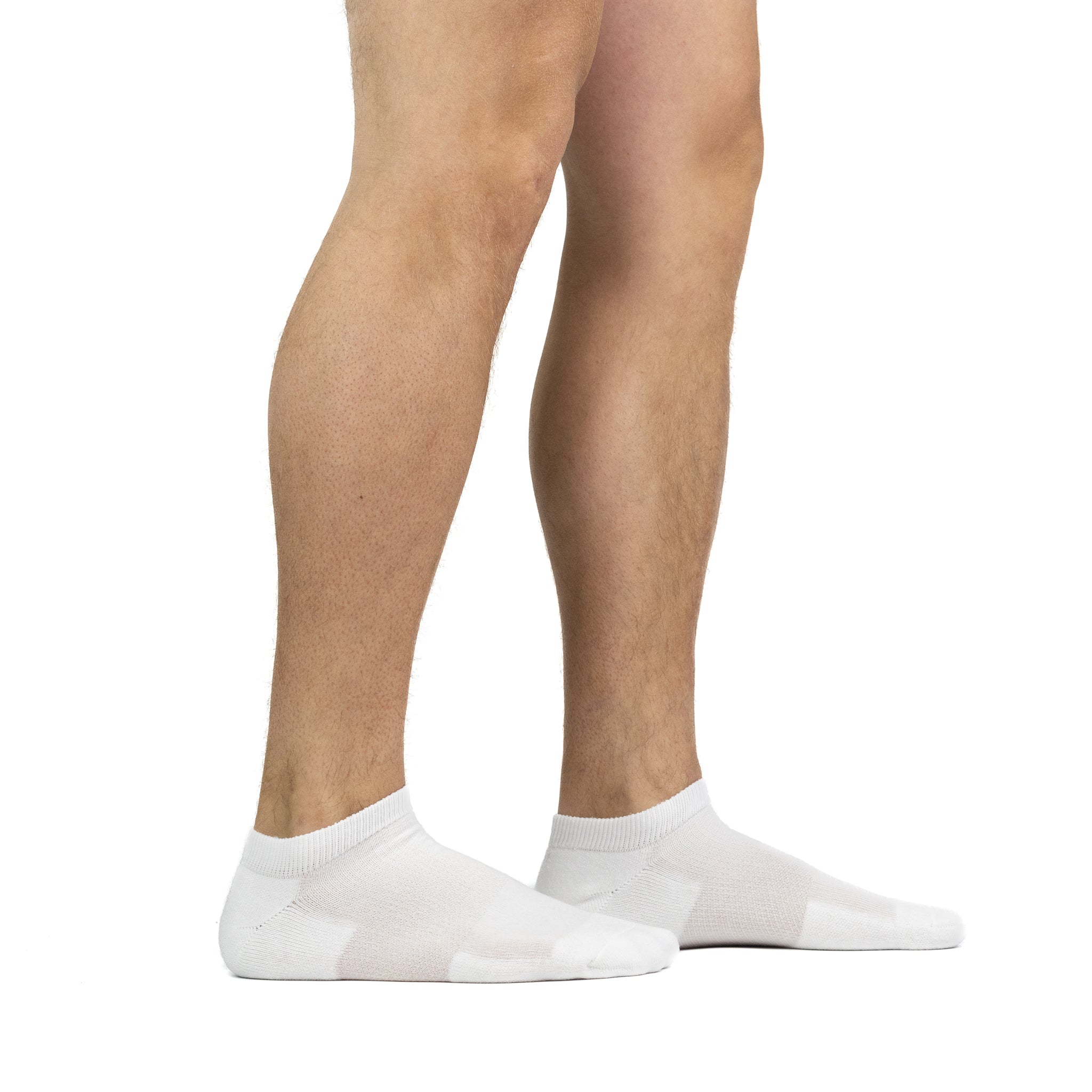 Men's Diabetic Lightweight Ankle Sock - 2 Pack - Fox River