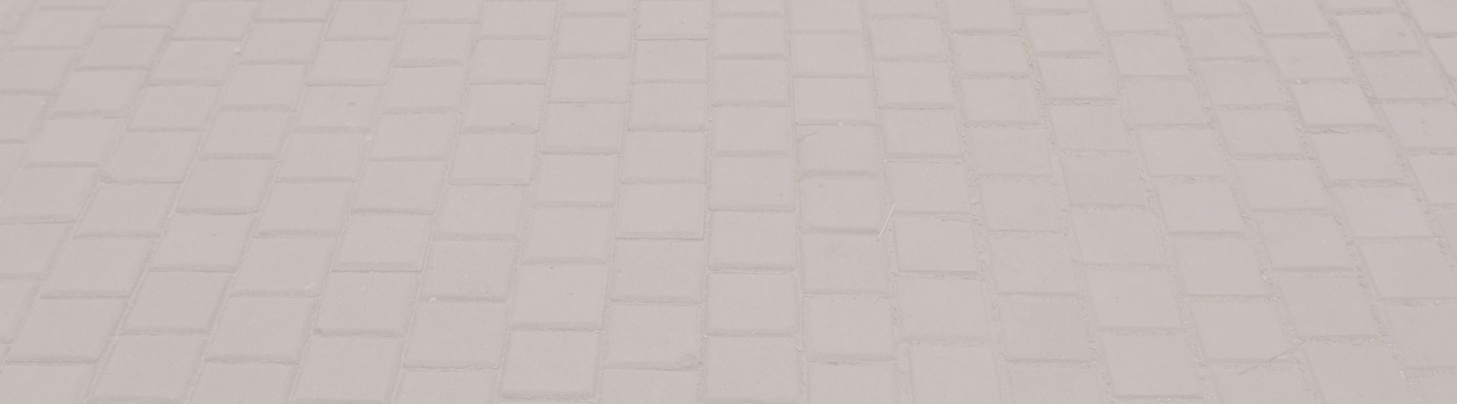 Everyday - Fox River