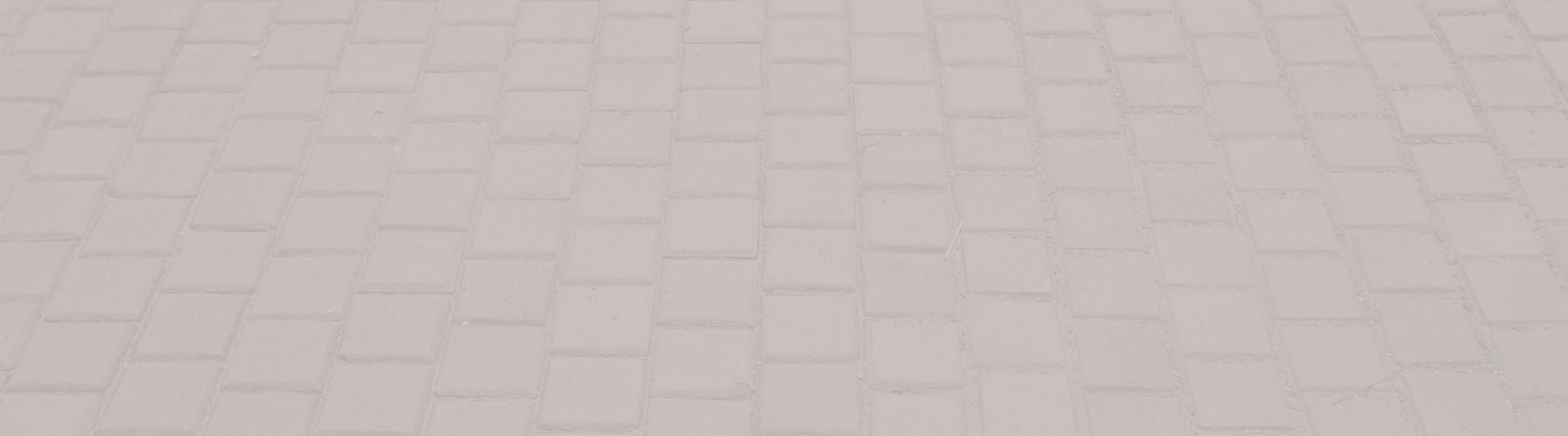 Everyday - Fox River