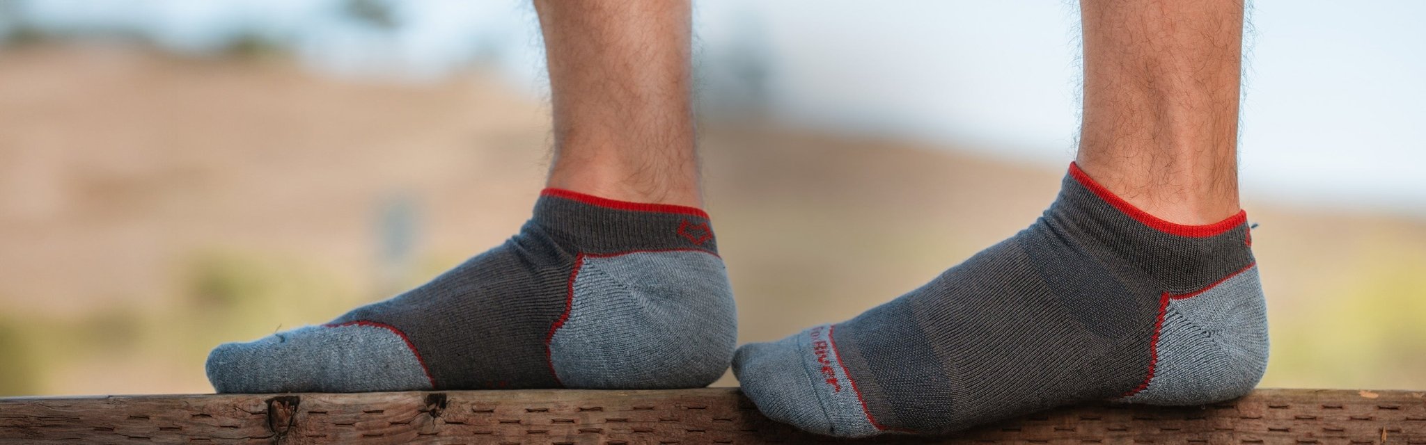 Men's Merino Wool Socks - Fox River