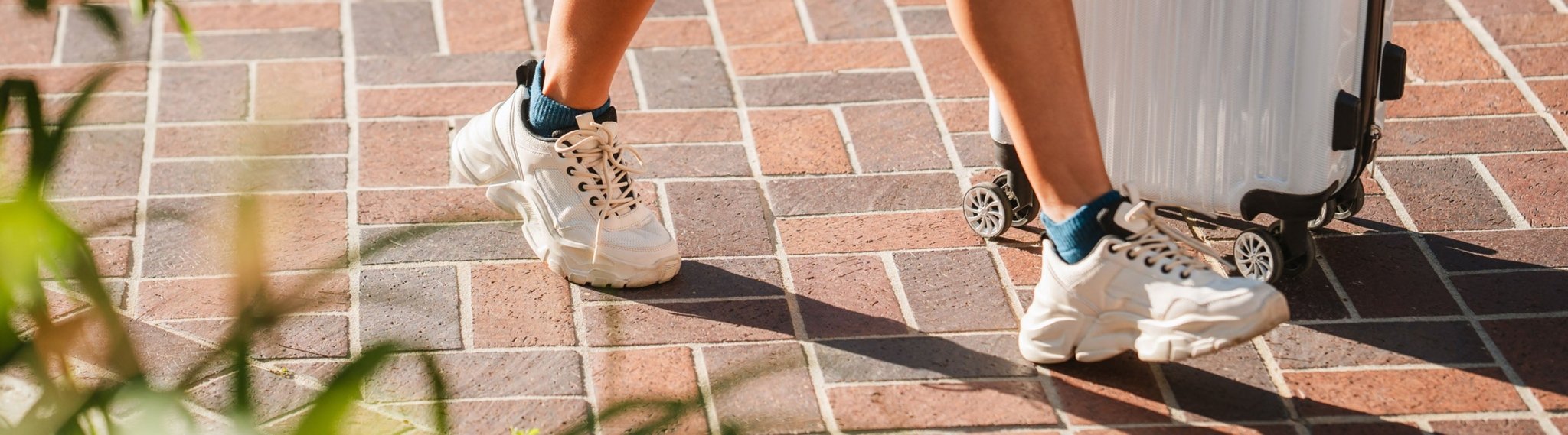 Women's Anywear Ankle Socks - Fox River